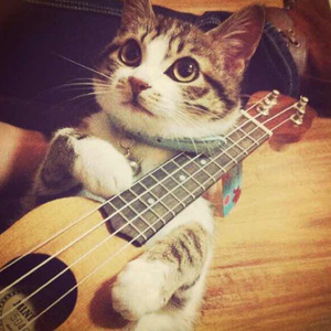 男女生嗟嗟嗟如痛动漫
